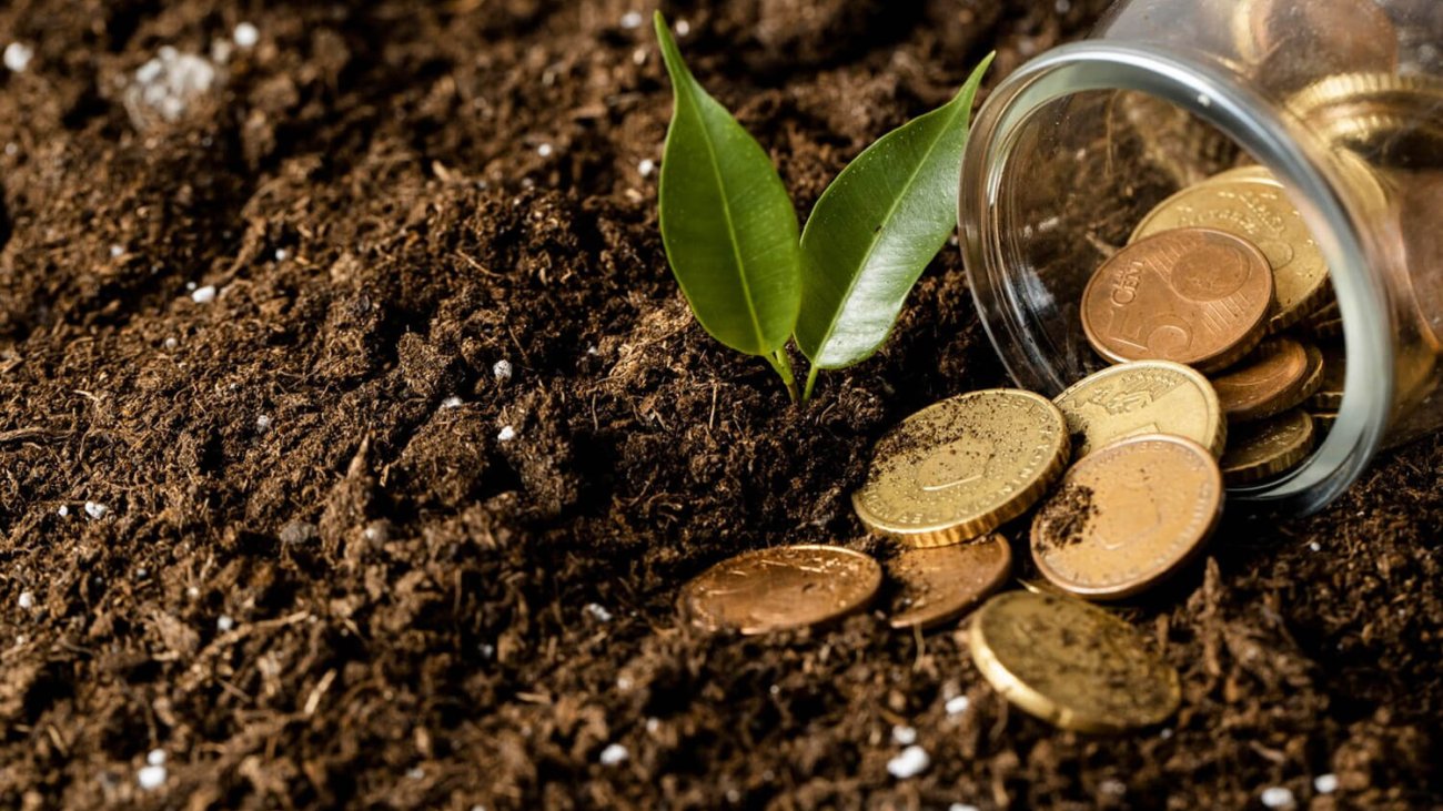 credito-rural-o-que-e-e-como-beneficia-seu-negocio-imagem-01