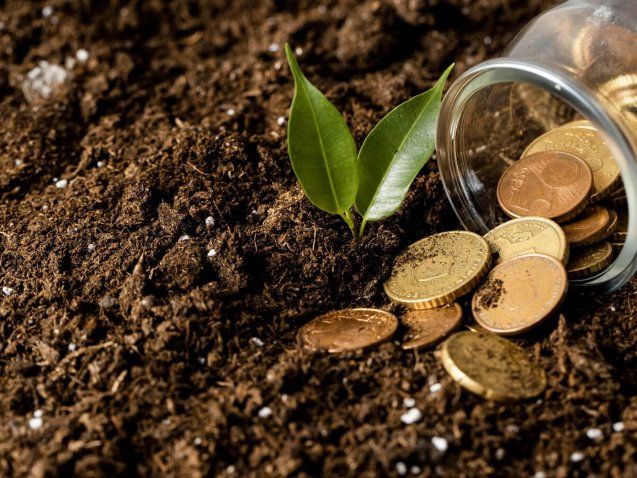 credito-rural-o-que-e-e-como-beneficia-seu-negocio-imagem-01